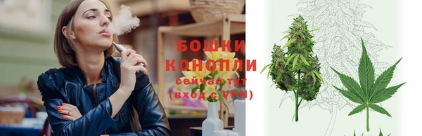дживик Осташков