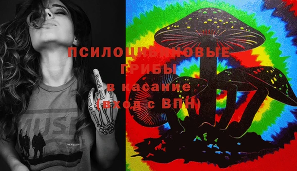 дживик Осташков