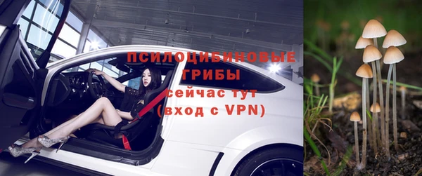 дживик Осташков