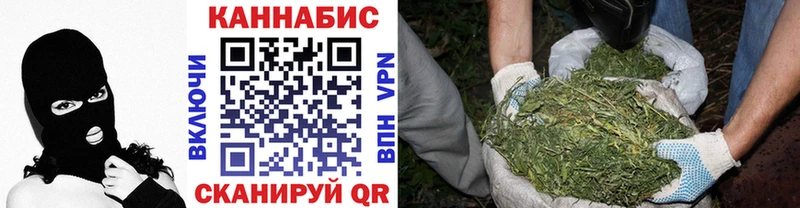 МАРИХУАНА OG Kush  Сольцы 